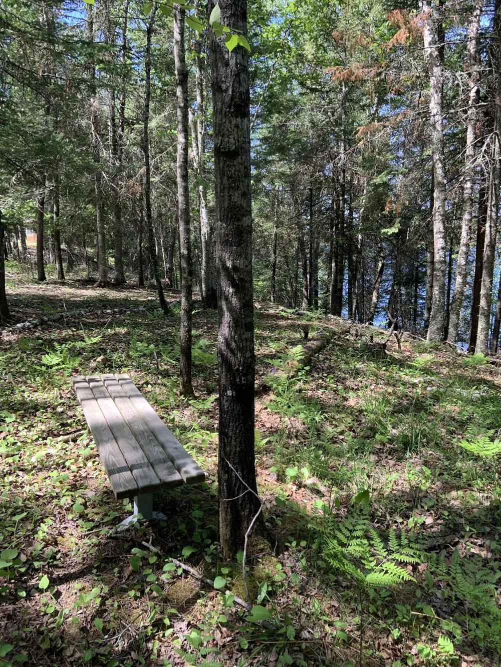 0000 Bass Lake Road Gilbert, MN 55741