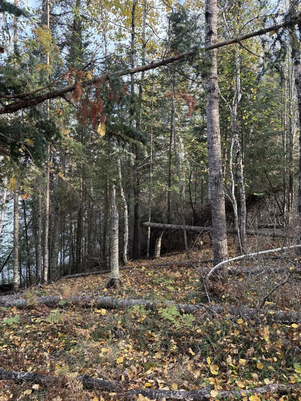 0000 Bass Lake Road Gilbert, MN 55741