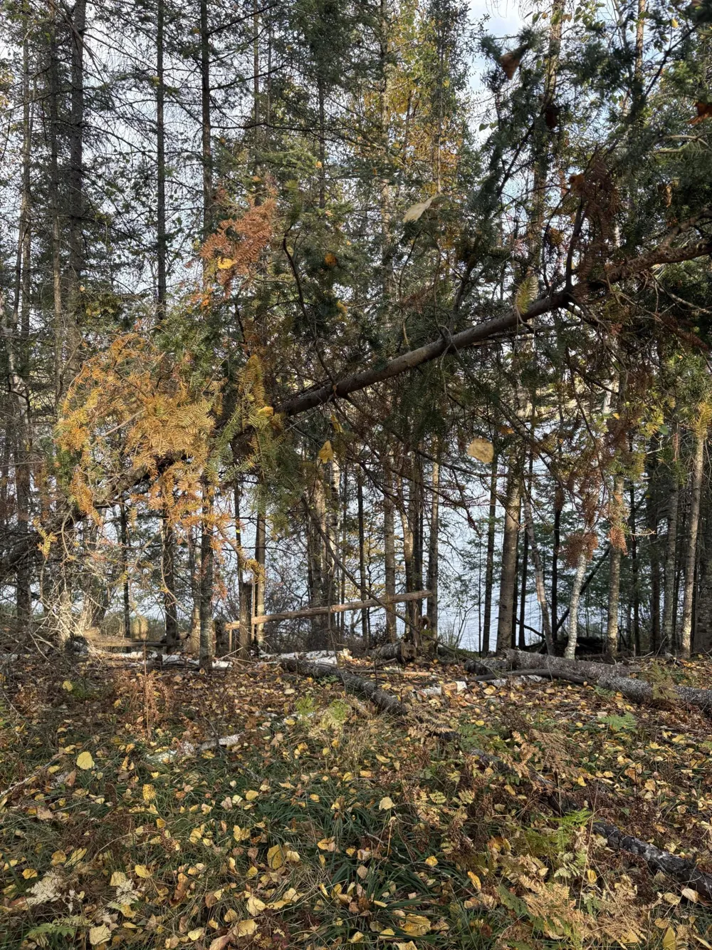 0000 Bass Lake Road Gilbert, MN 55741