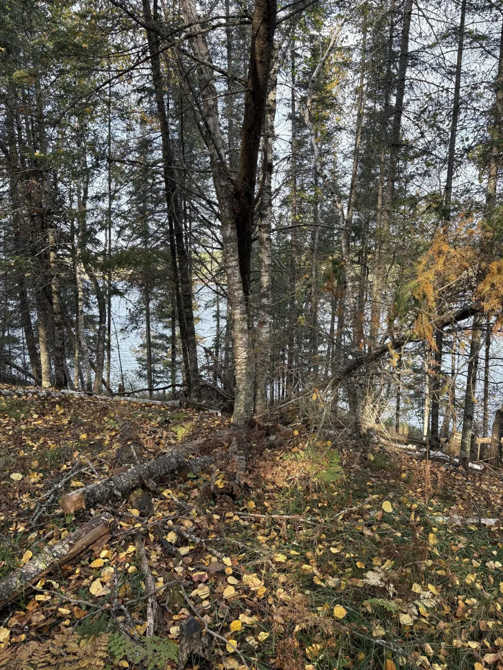 0000 Bass Lake Road Gilbert, MN 55741