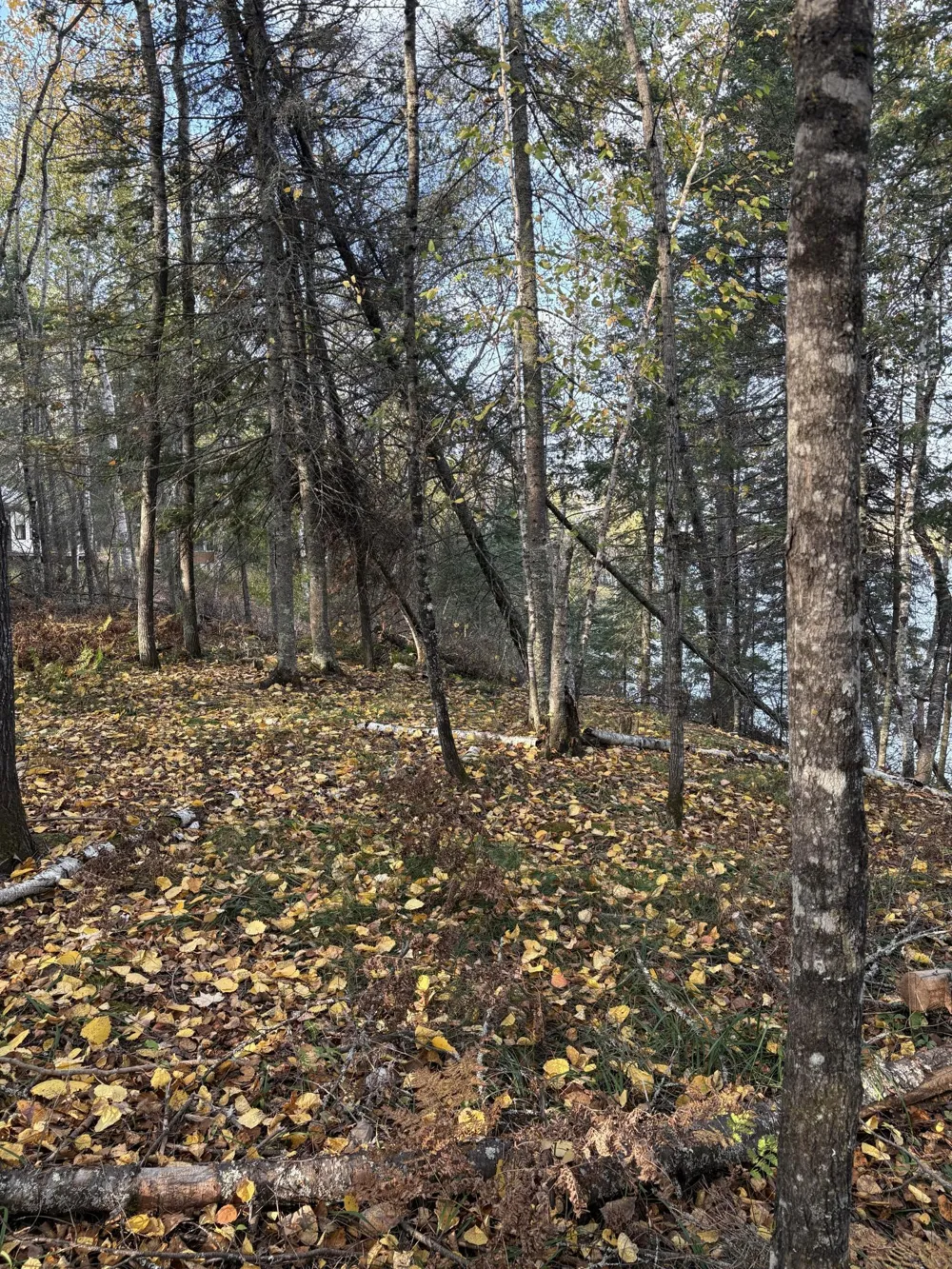 0000 Bass Lake Road Gilbert, MN 55741