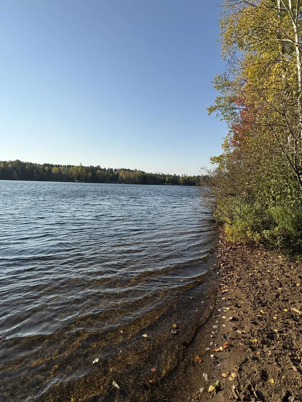0000 Bass Lake Road Gilbert, MN 55741
