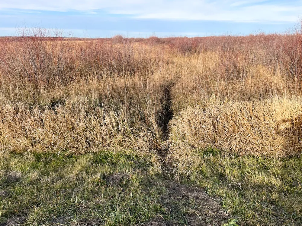 TBD HWY 10 Thief River Falls, MN 56701