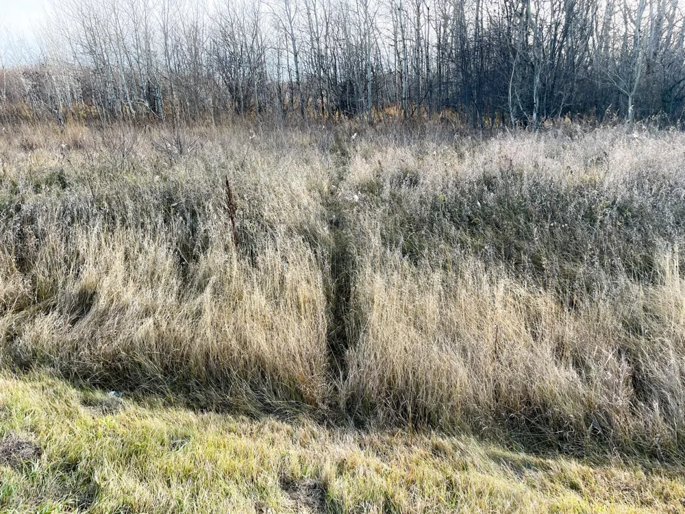 TBD HWY 10 Thief River Falls, MN 56701