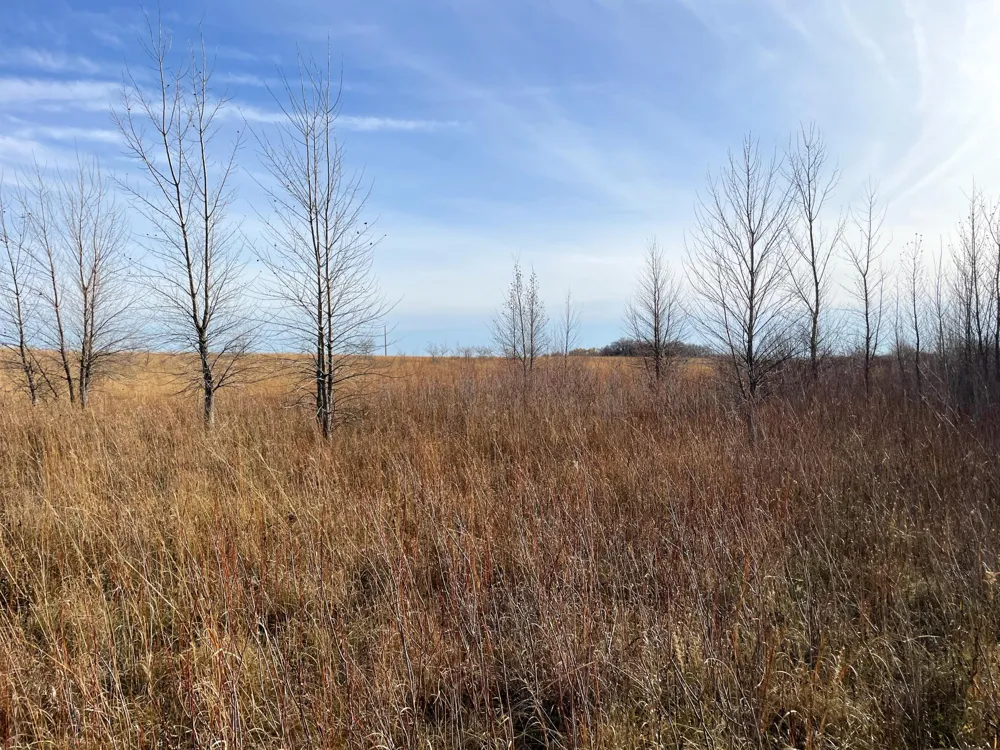 TBD HWY 10 Thief River Falls, MN 56701