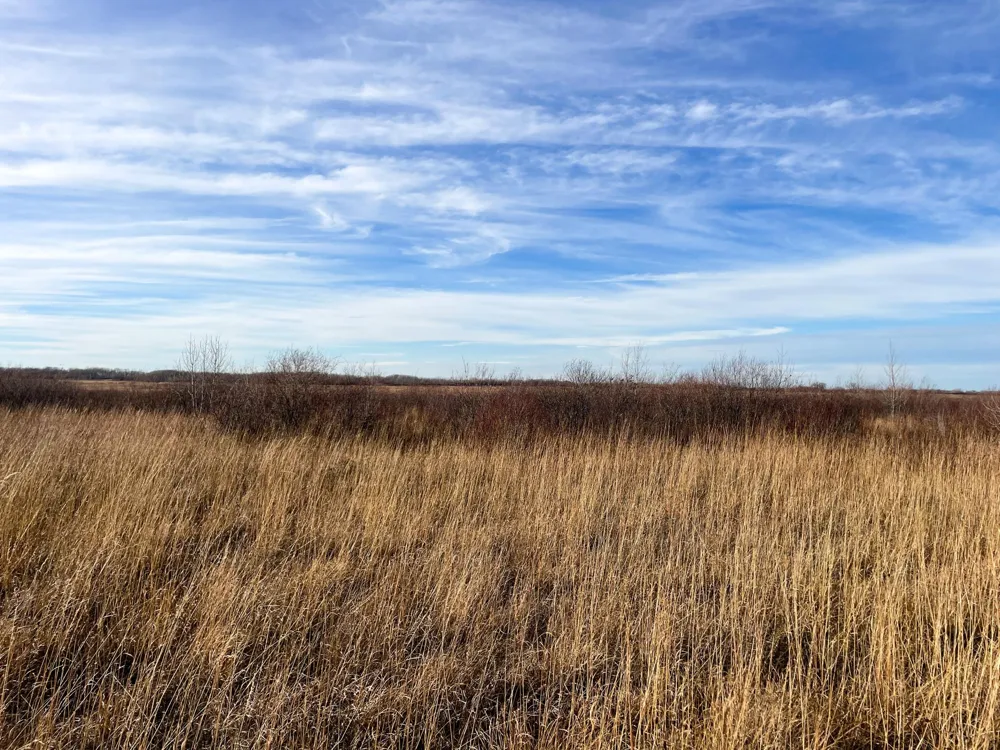 TBD HWY 10 Thief River Falls, MN 56701