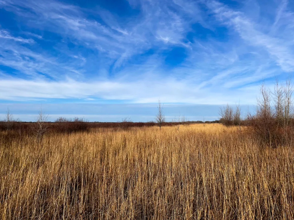 TBD HWY 10 Thief River Falls, MN 56701