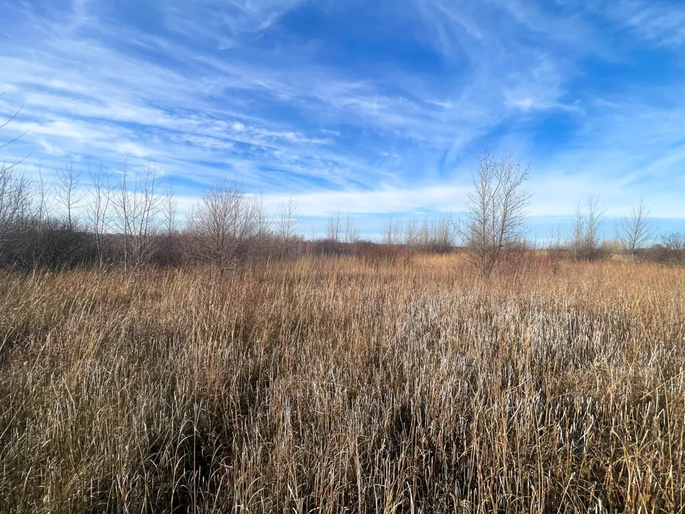 TBD HWY 10 Thief River Falls, MN 56701