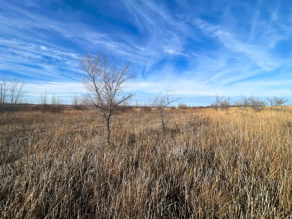 TBD HWY 10 Thief River Falls, MN 56701