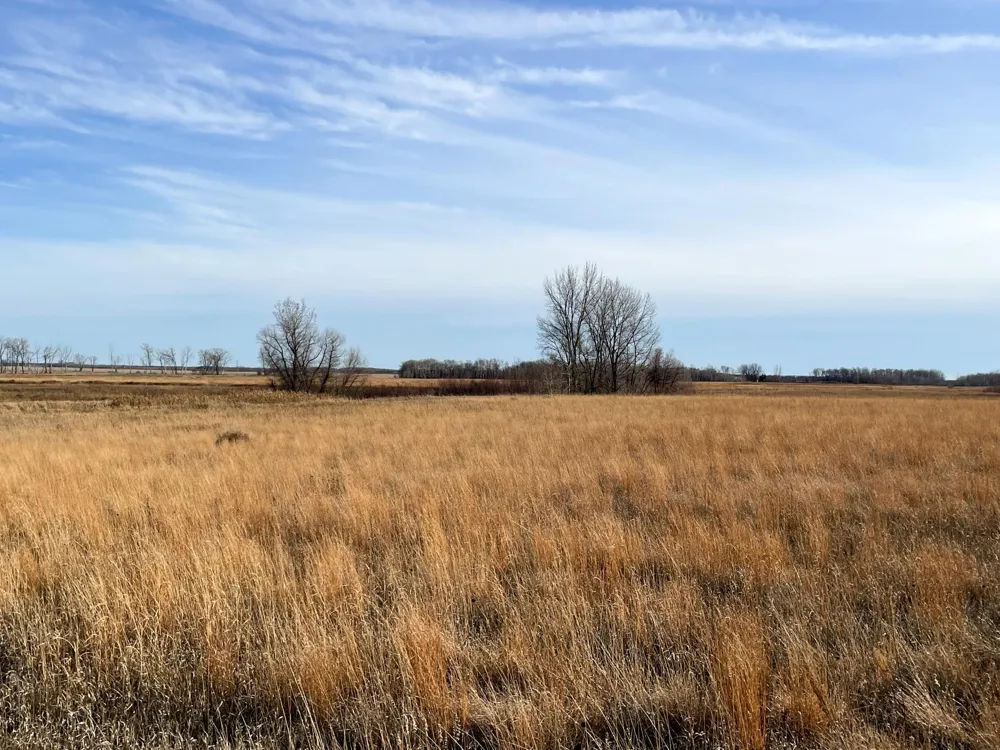 TBD HWY 10 Thief River Falls, MN 56701