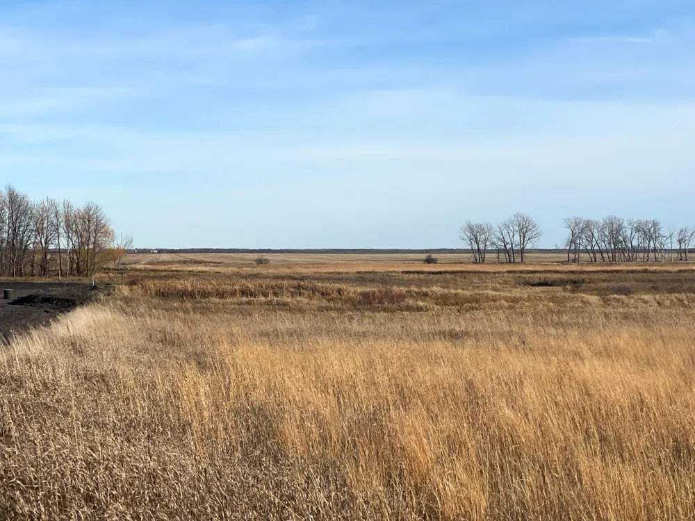 TBD HWY 10 Thief River Falls, MN 56701