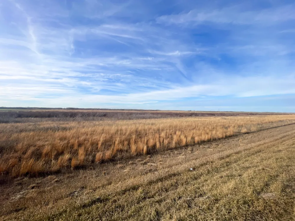 TBD HWY 10 Thief River Falls, MN 56701
