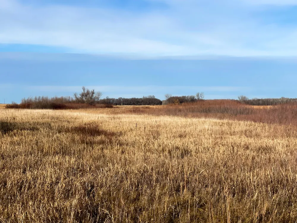 TBD HWY 10 Thief River Falls, MN 56701