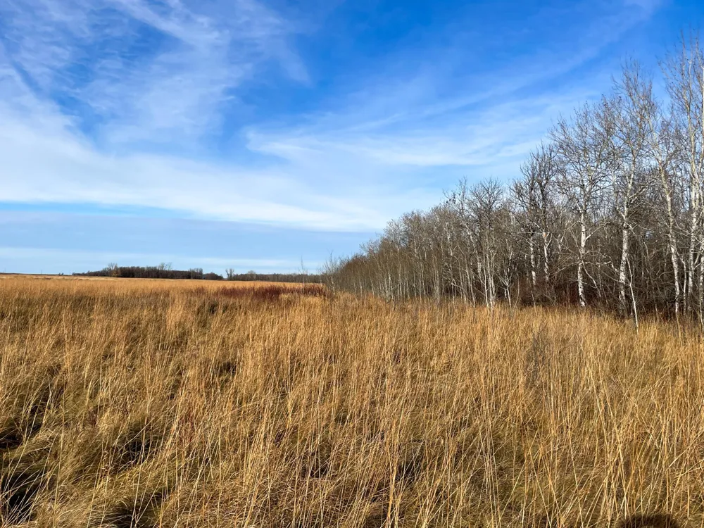 TBD HWY 10 Thief River Falls, MN 56701
