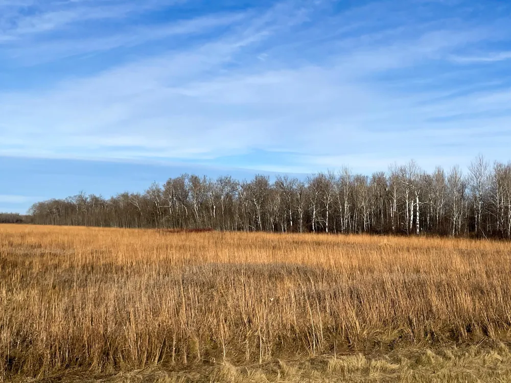 TBD HWY 10 Thief River Falls, MN 56701