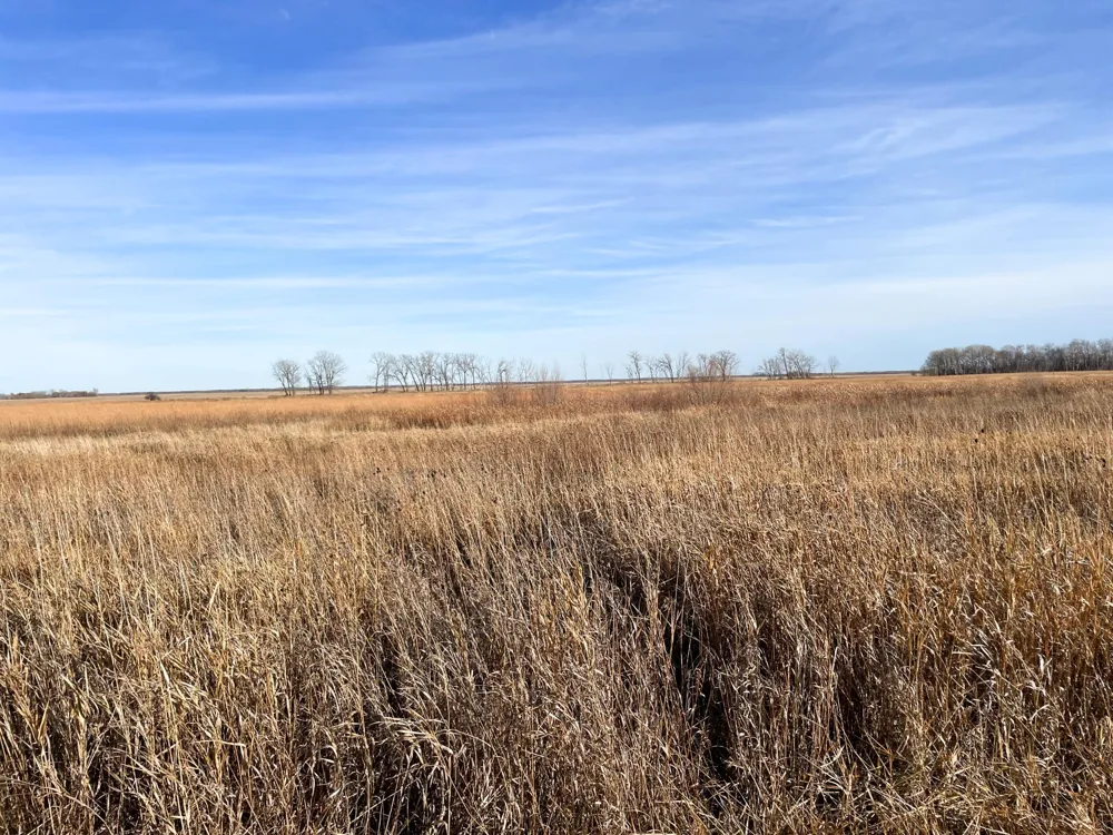TBD HWY 10 Thief River Falls, MN 56701