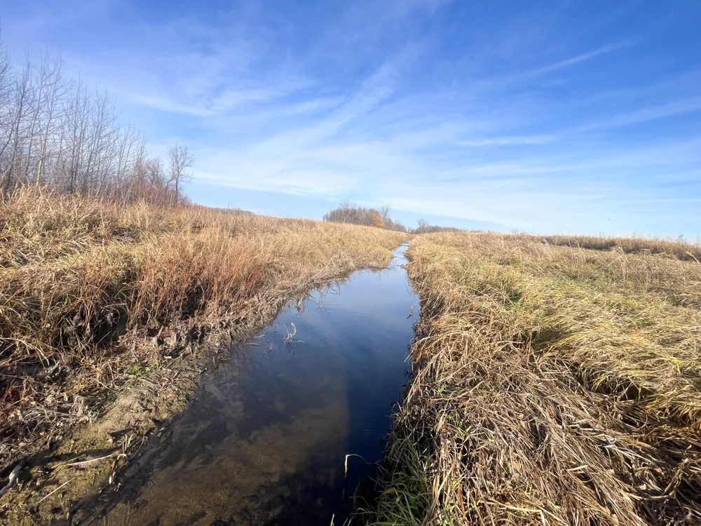 TBD HWY 10 Thief River Falls, MN 56701
