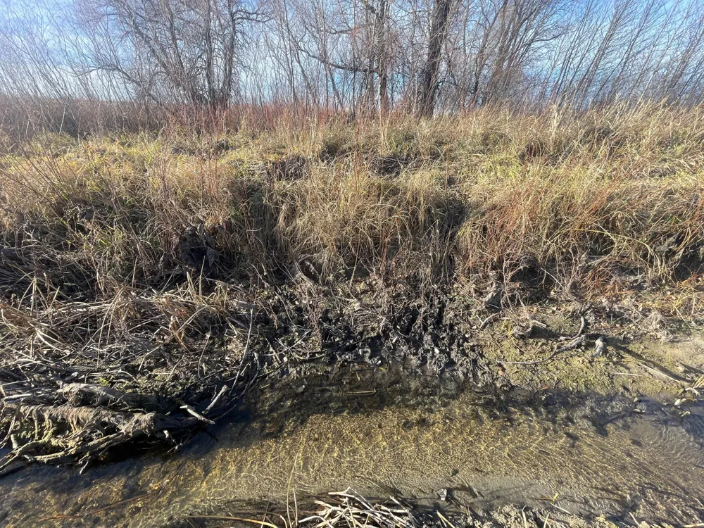 TBD HWY 10 Thief River Falls, MN 56701