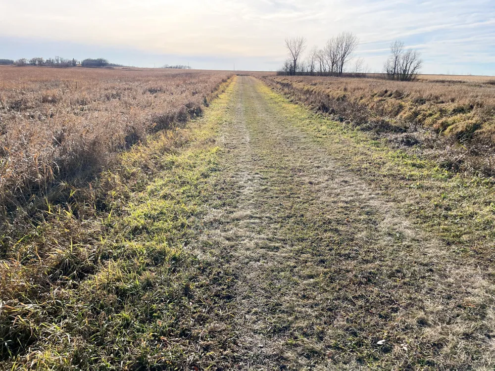TBD HWY 10 Thief River Falls, MN 56701