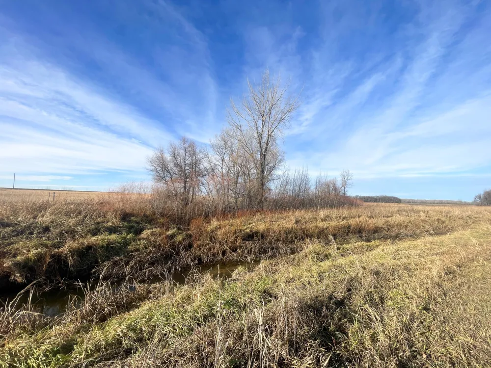 TBD HWY 10 Thief River Falls, MN 56701