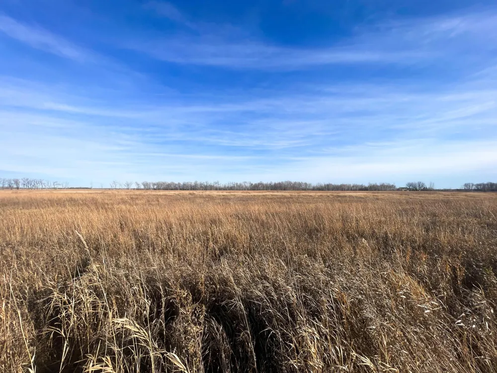 TBD HWY 10 Thief River Falls, MN 56701