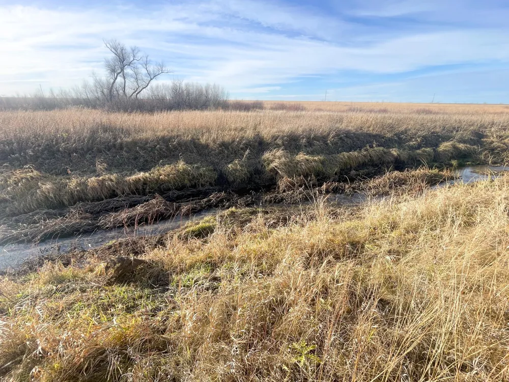 TBD HWY 10 Thief River Falls, MN 56701