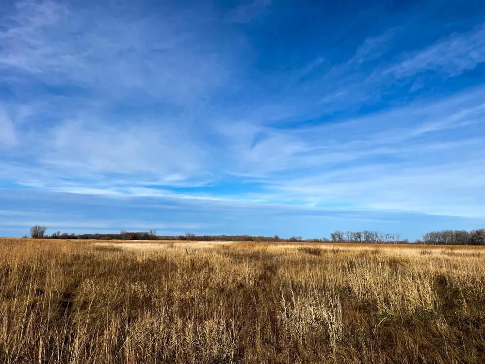 TBD HWY 10 Thief River Falls, MN 56701