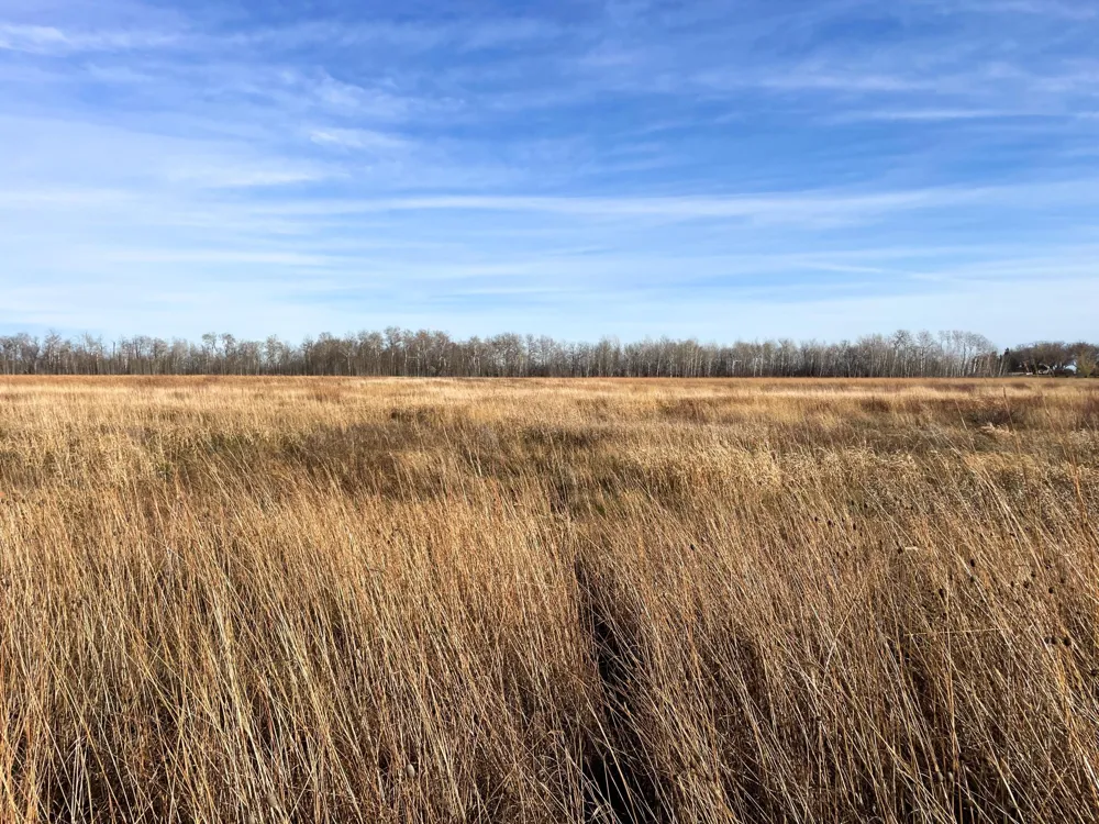 TBD HWY 10 Thief River Falls, MN 56701