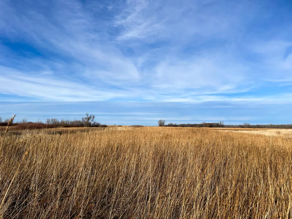 TBD HWY 10 Thief River Falls, MN 56701