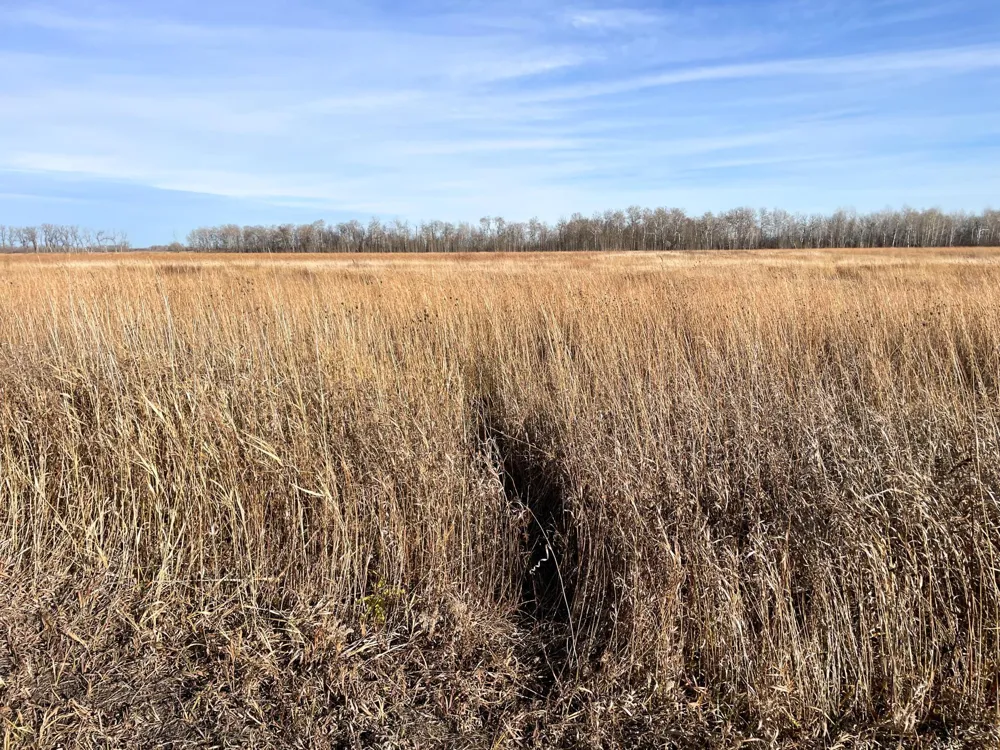 TBD HWY 10 Thief River Falls, MN 56701
