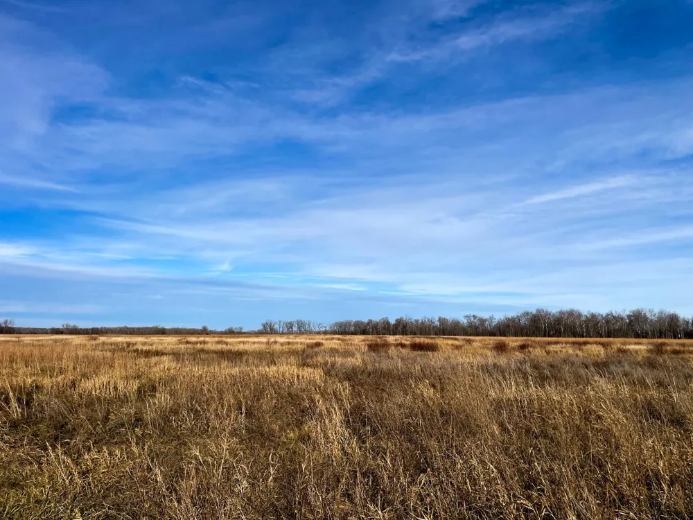 TBD HWY 10 Thief River Falls, MN 56701
