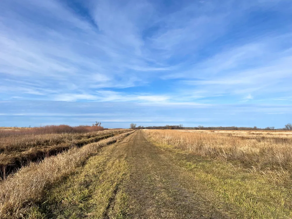 TBD HWY 10 Thief River Falls, MN 56701