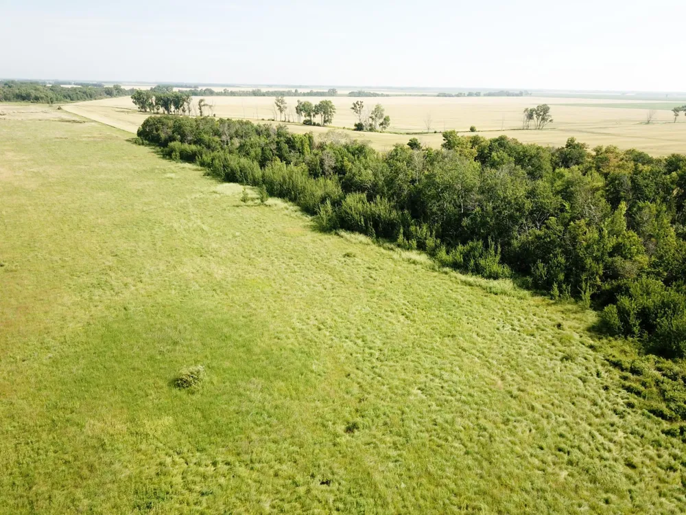 TBD HWY 10 Thief River Falls, MN 56701