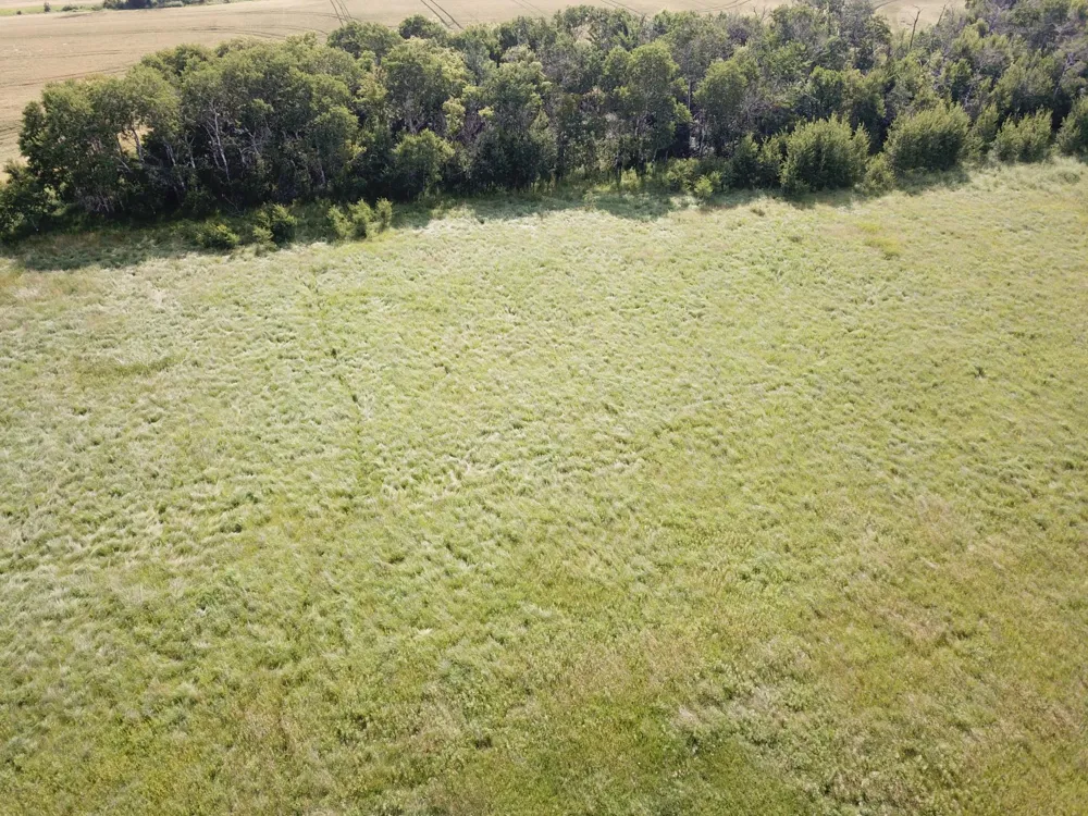 TBD HWY 10 Thief River Falls, MN 56701