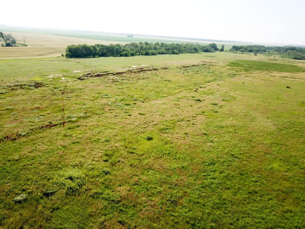 TBD HWY 10 Thief River Falls, MN 56701