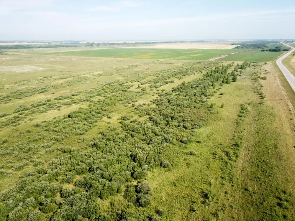 TBD HWY 10 Thief River Falls, MN 56701