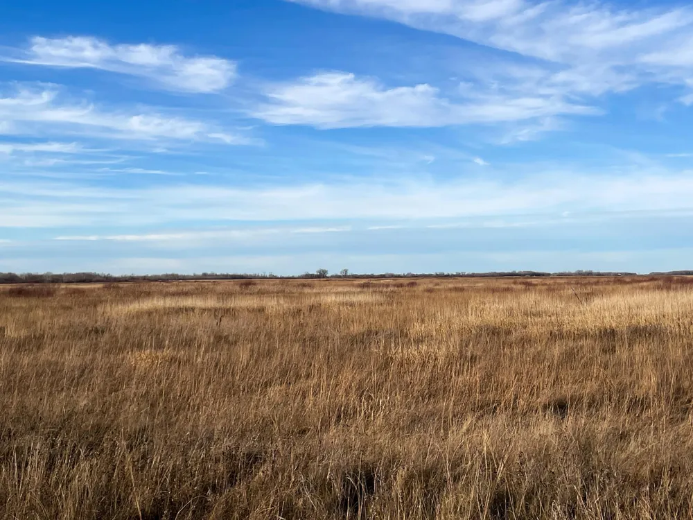 TBD 150th Street NW Thief River Falls, MN 56701