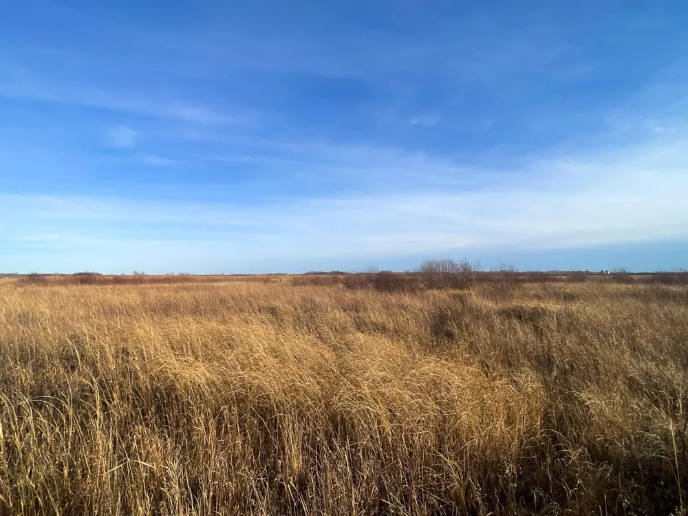TBD 150th Street NW Thief River Falls, MN 56701
