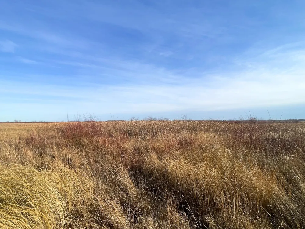 TBD 150th Street NW Thief River Falls, MN 56701