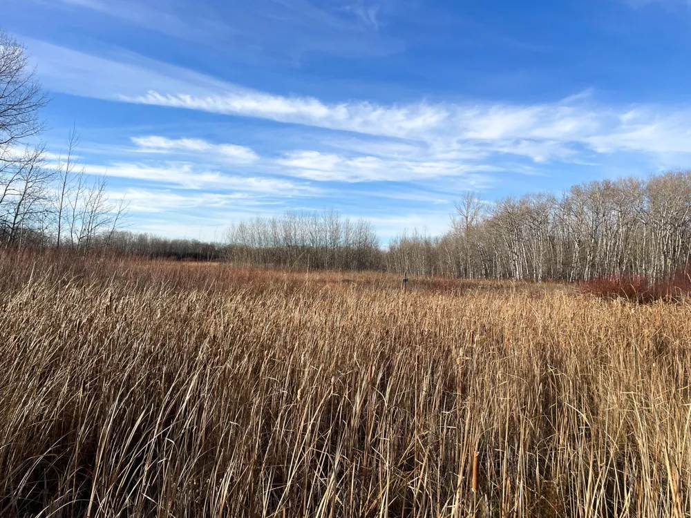 TBD 150th Street NW Thief River Falls, MN 56701