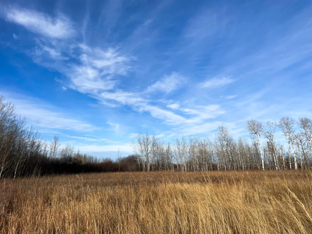 TBD 150th Street NW Thief River Falls, MN 56701