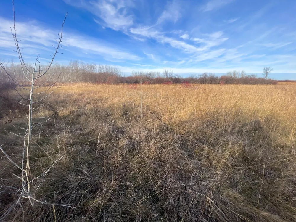 TBD 150th Street NW Thief River Falls, MN 56701