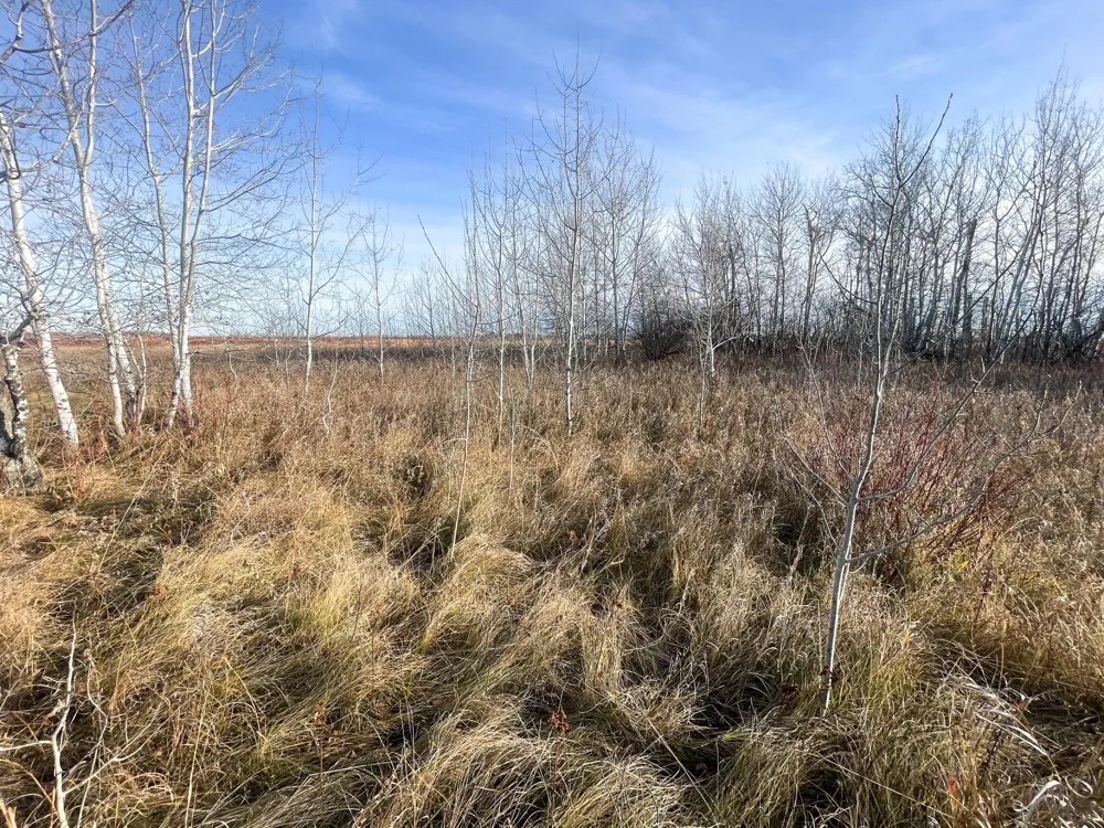 TBD 150th Street NW Thief River Falls, MN 56701