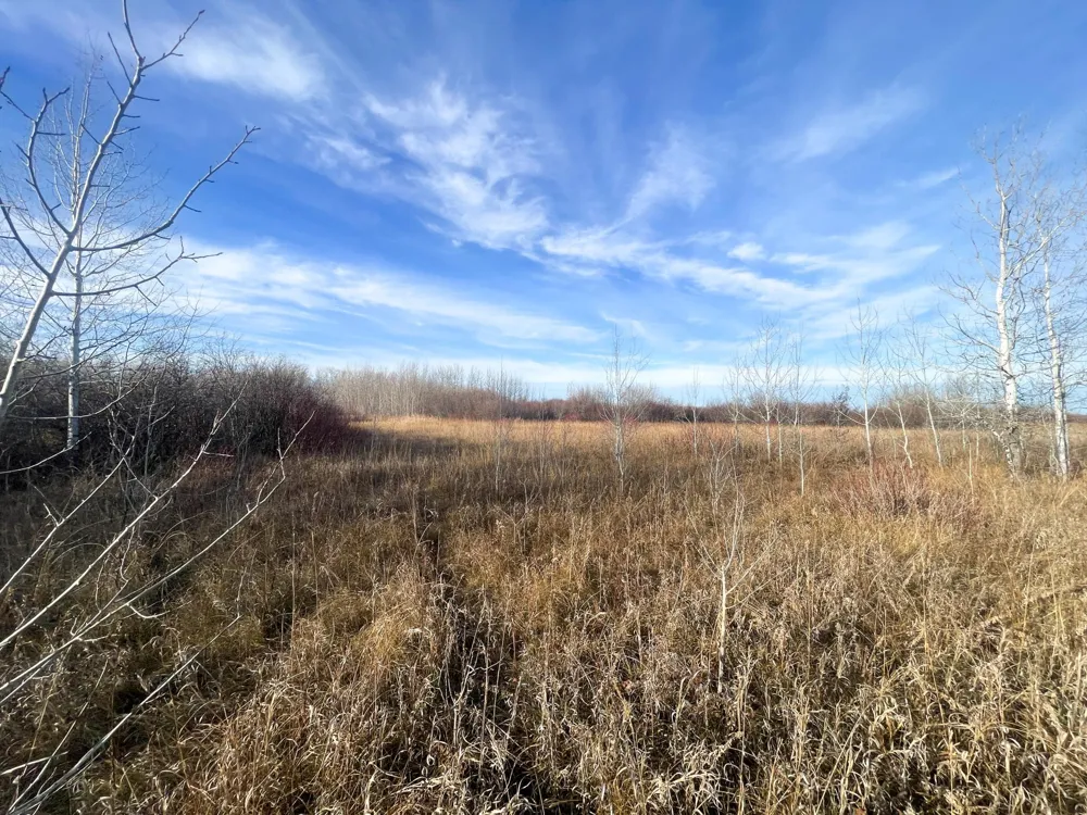 TBD 150th Street NW Thief River Falls, MN 56701