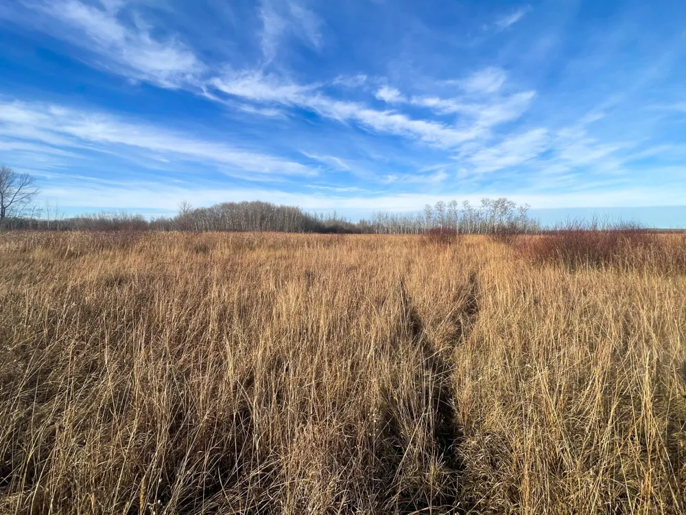 TBD 150th Street NW Thief River Falls, MN 56701