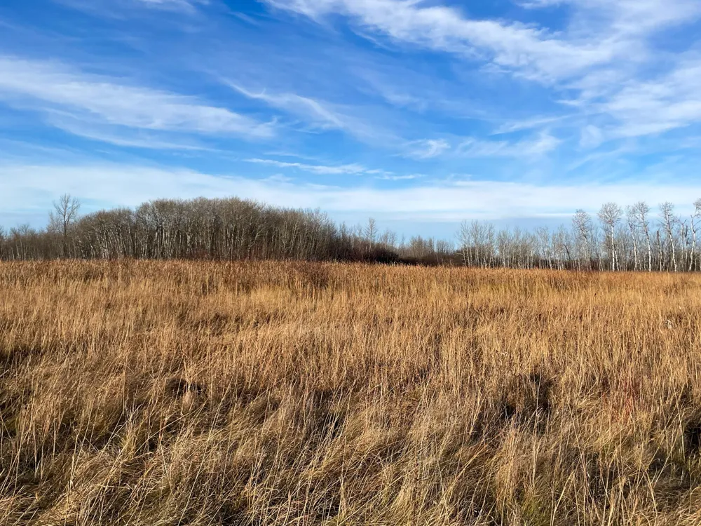 TBD 150th Street NW Thief River Falls, MN 56701