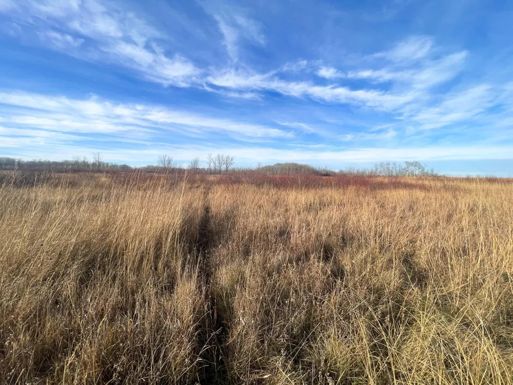 TBD 150th Street NW Thief River Falls, MN 56701