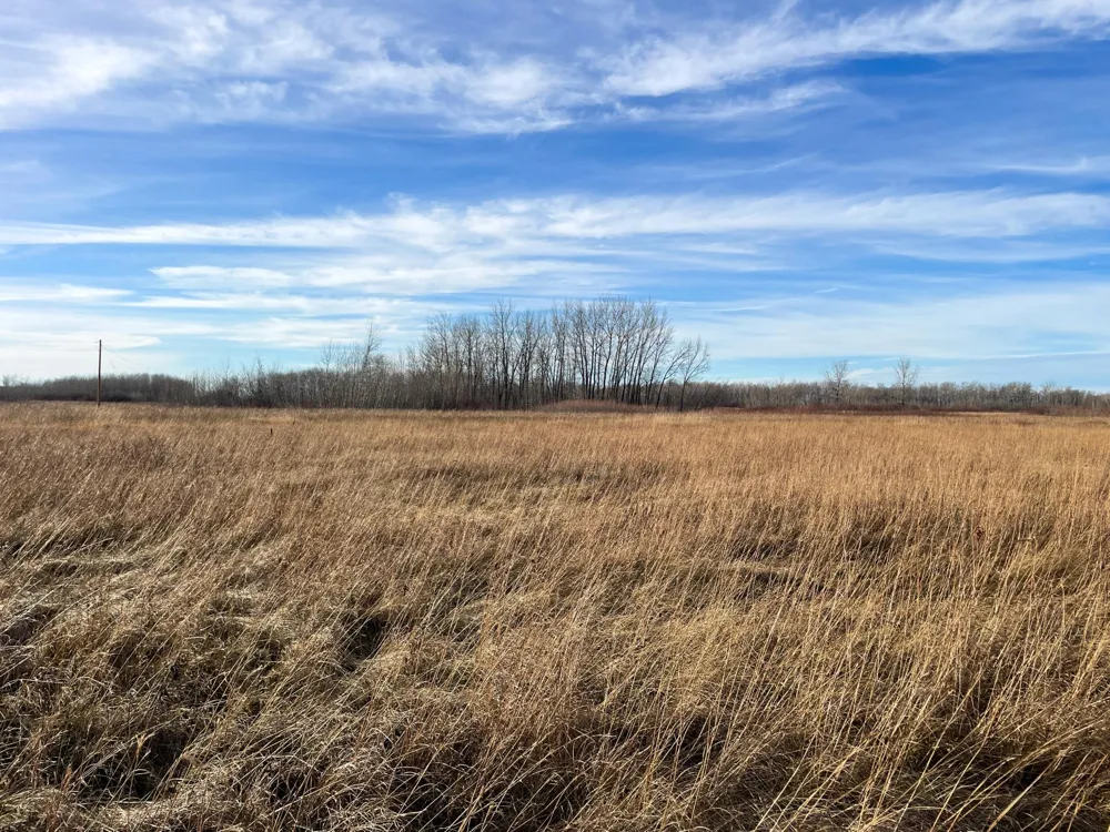 TBD 150th Street NW Thief River Falls, MN 56701