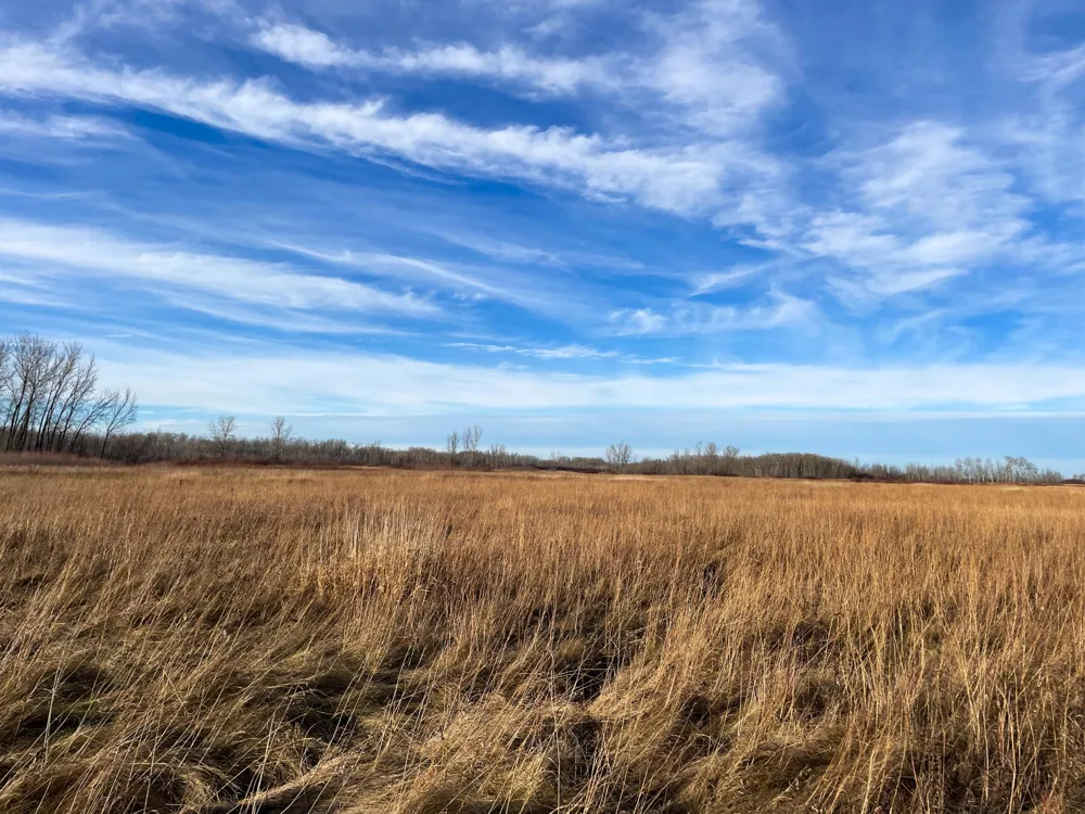TBD 150th Street NW Thief River Falls, MN 56701