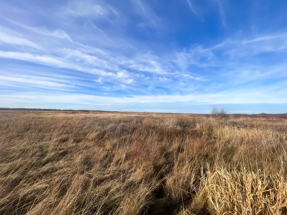 TBD 150th Street NW Thief River Falls, MN 56701